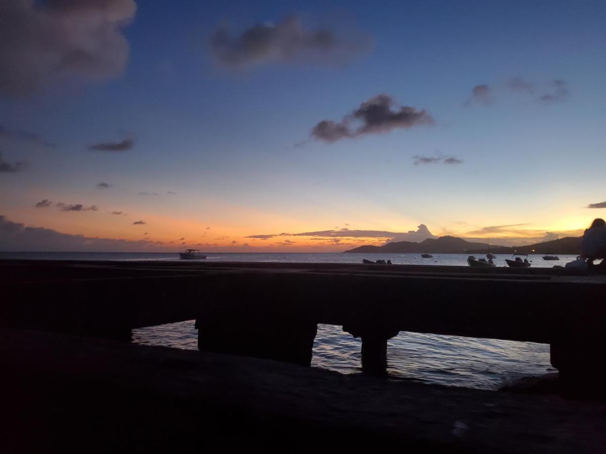 Crab Island Adventures Apartments 别克斯 外观 照片