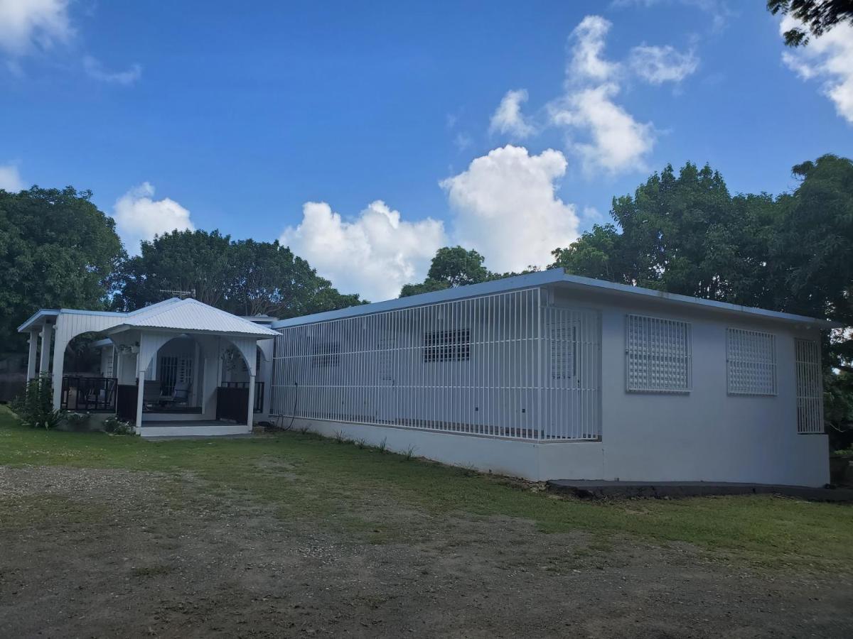 Crab Island Adventures Apartments 别克斯 外观 照片