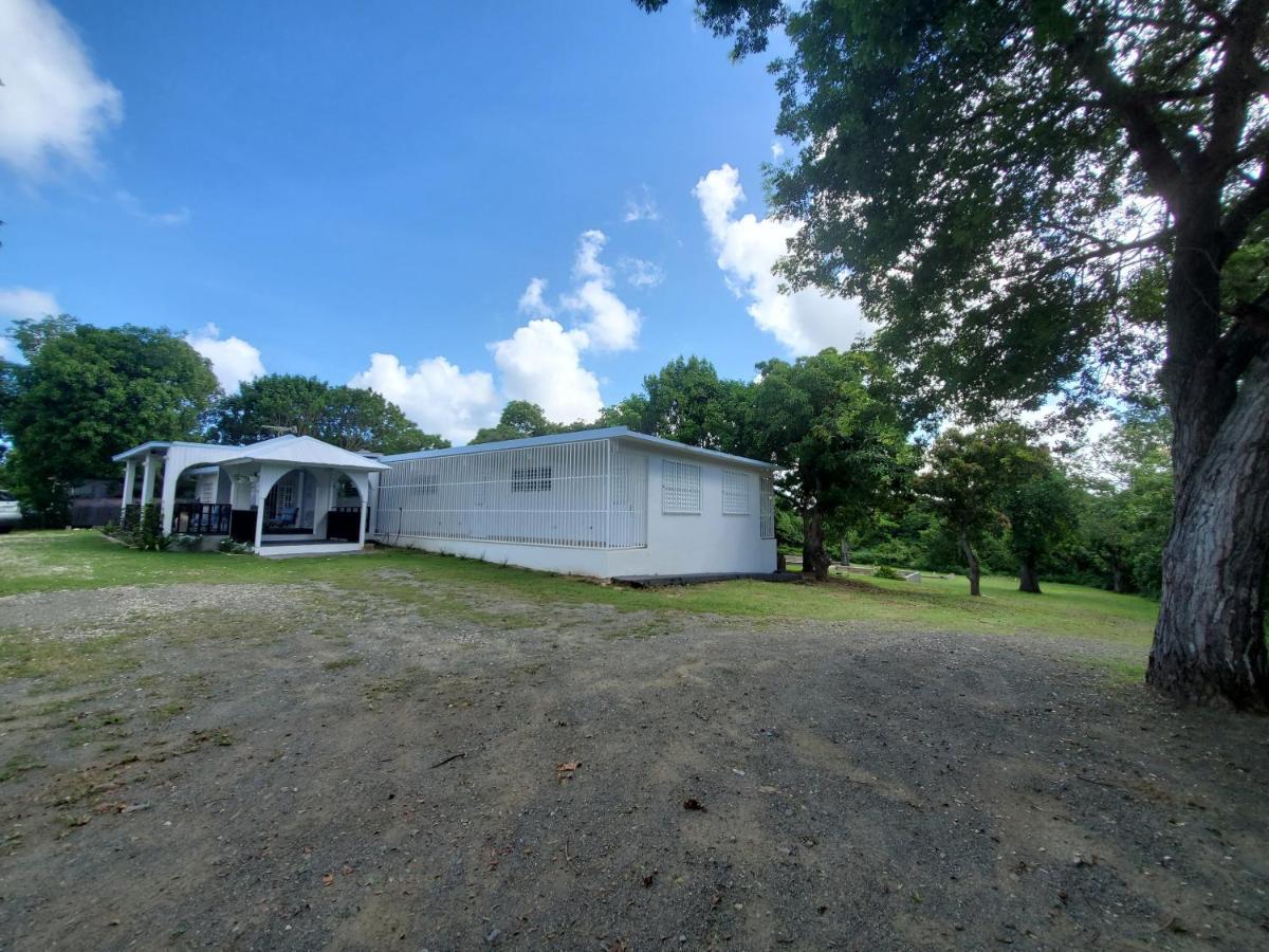 Crab Island Adventures Apartments 别克斯 外观 照片